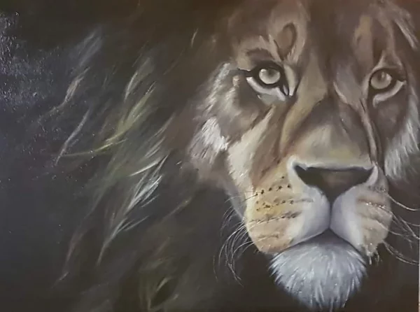 Affiche lion 50x70cm